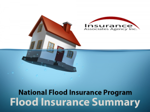 National Flood Insurance Summary