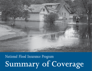 Flood Insurance Program Summary
