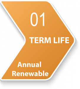 Annual Renewable Term Life Insurance 45069