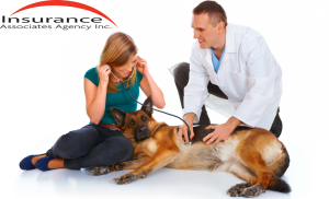 Veterinary Business Insurance West Chester, OH